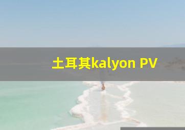 土耳其kalyon PV